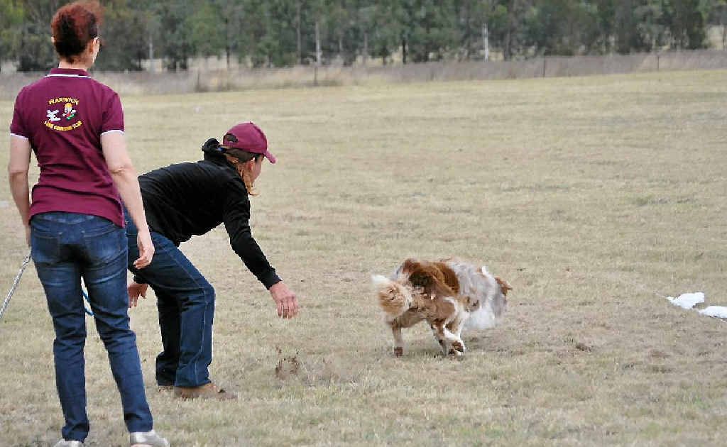 Anne Freebairn releases her dog Leo with the hunt’s master of the day Cathi Kelly (left). Anne Freebairn releases her dog Leo with the hunt’s master of the day Cathi Kelly (left).